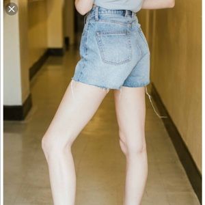 Brandy Melville Vintage High Rise Charlotte Shorts